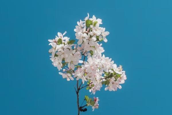 重疾險(xiǎn)到期能取出來(lái)嗎，附操作建議與注意事項(xiàng)?！