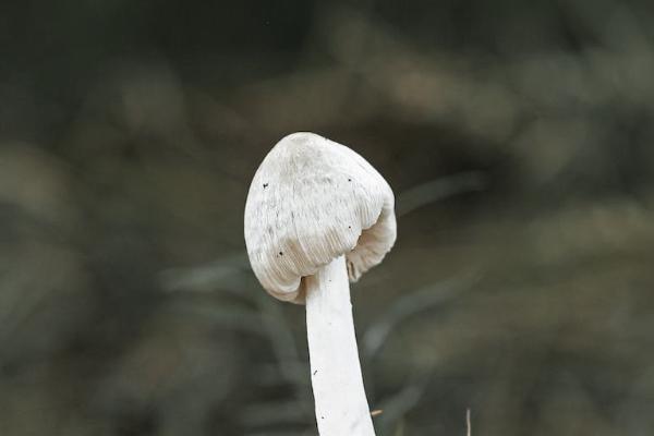 香港永明昇暉保障計(jì)劃值得買(mǎi)嗎？怎么投保收益最高？
