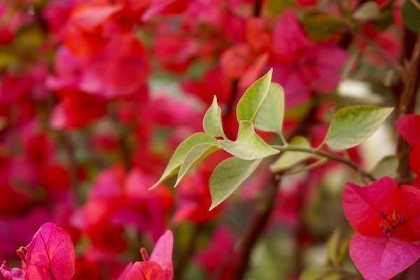百萬(wàn)醫(yī)療交一年保一年嗎