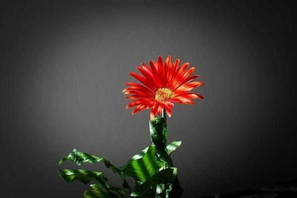 橙易保百萬(wàn)醫(yī)療保險(xiǎn)公司