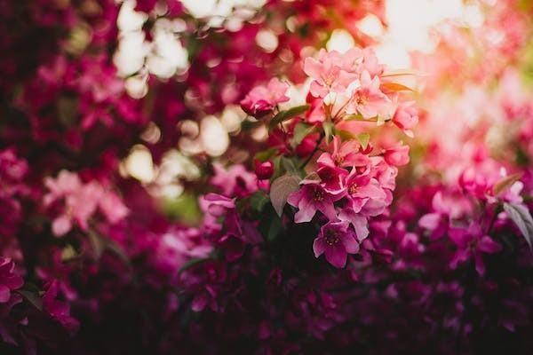 百萬醫(yī)療險受益人是誰