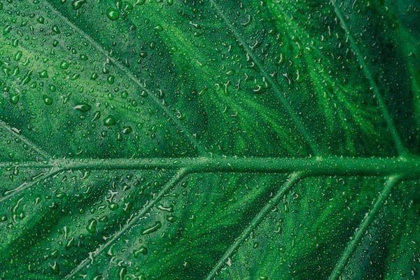 商業(yè)保險(xiǎn)退保還要什么手續(xù)和證件，金額是多少