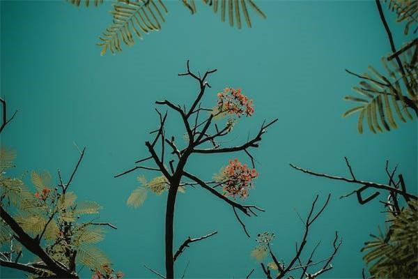 退保險(xiǎn)需要手續(xù)費(fèi)嘛現(xiàn)在，退保的流程包含哪些