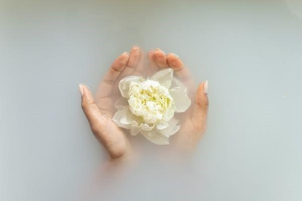 已經(jīng)交完的保險退保如何查詢