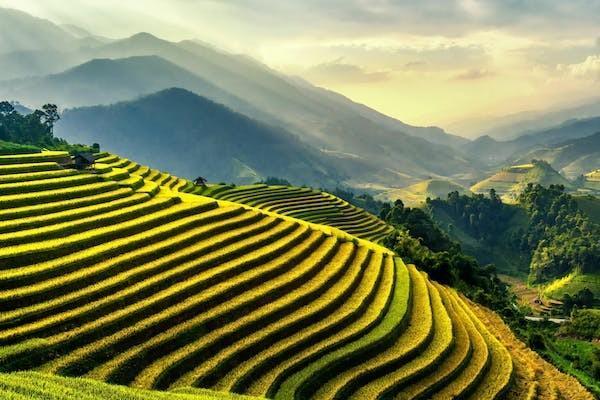 肝硬化可以買百萬醫(yī)療險嗎？報銷范圍有哪些？