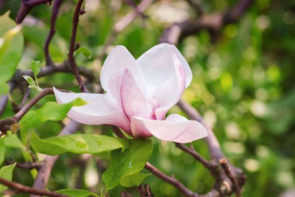 信美相互家道永傳終身壽險(xiǎn)以后能取出嗎？承保公司靠譜嗎？
