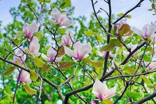 信泰如意尊(創(chuàng)贏版)終身壽險特點詳細測評？值得買嗎