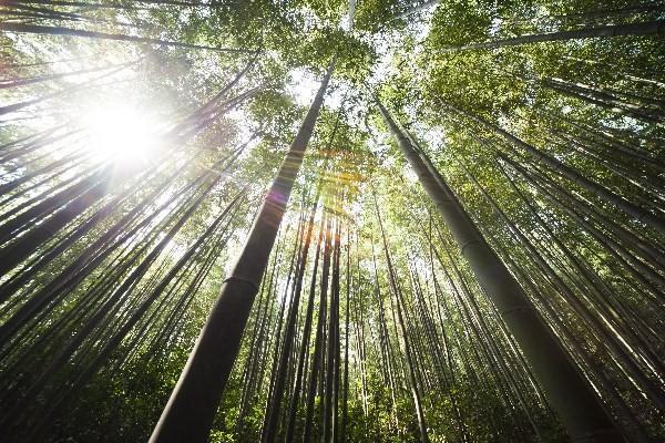 高性價比保險：少花錢的秘訣與方案推薦