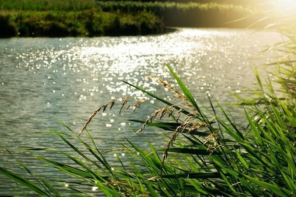 平安智富人生a萬(wàn)能保險(xiǎn)詳解是什么？有什么特點(diǎn)？