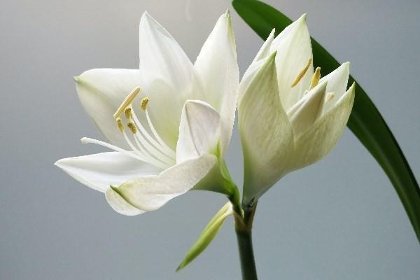 高端兒童醫(yī)療險：守護孩子健康的全方位保障