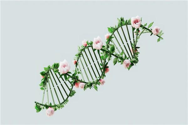 友邦愛伴航重疾險特點有哪些？哪里可以買？