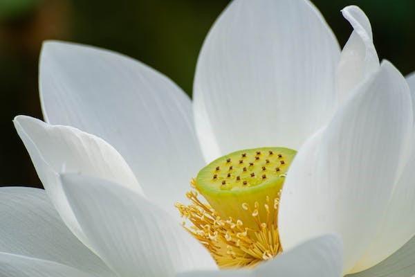 保險公司排名前十有哪些？你都知道嗎
