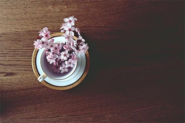 短期理財(cái)買(mǎi)什么產(chǎn)品好？總有一個(gè)是適合你的