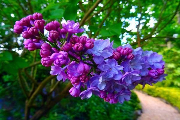 中意一生中意終身壽險(xiǎn)分紅型好不好？承保公司怎么樣？