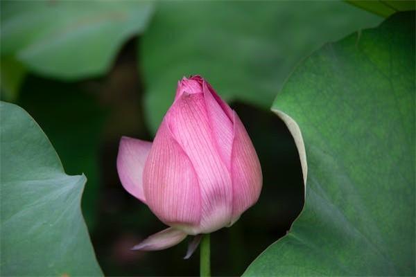 保險(xiǎn)購(gòu)買(mǎi)指南：揭秘十大“坑爹”保險(xiǎn)，避開(kāi)保險(xiǎn)誤區(qū)！