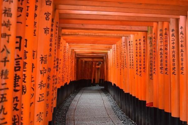 農(nóng)銀愛守護(hù)交3年可退保么？農(nóng)銀人壽退保的流程？