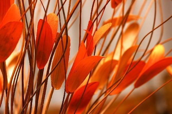 今年養(yǎng)老保險(xiǎn)一年交多少錢(qián)2024？怎么交最劃算？