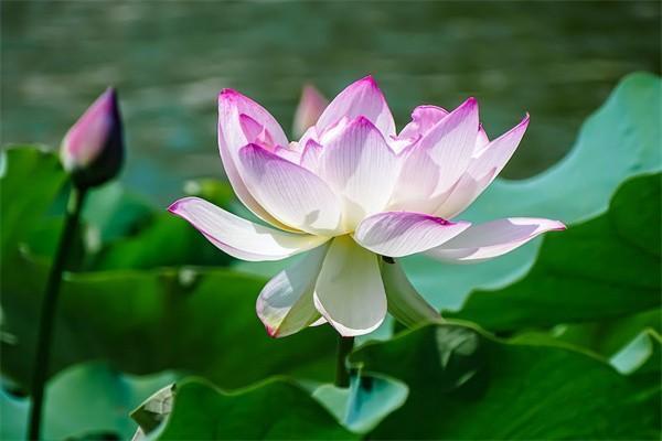 農(nóng)村70歲以上老人養(yǎng)老金每個(gè)月領(lǐng)多少錢？附養(yǎng)老金計(jì)算方法