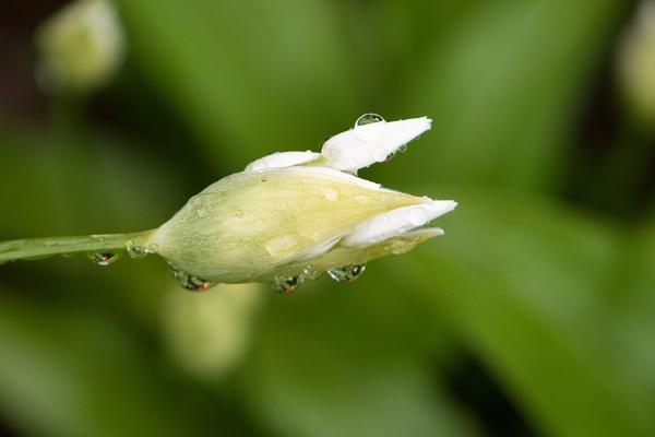 安行無憂兩全保險(xiǎn)值得買嗎？有哪些保障？