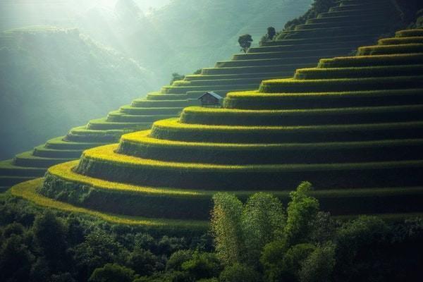 清遠(yuǎn)惠民保怎么理賠？可以理賠多少錢？