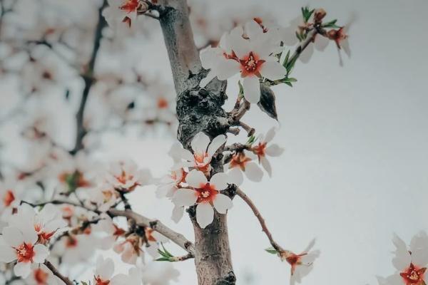 泰康百萬(wàn)醫(yī)療保險(xiǎn)每年需要多少錢