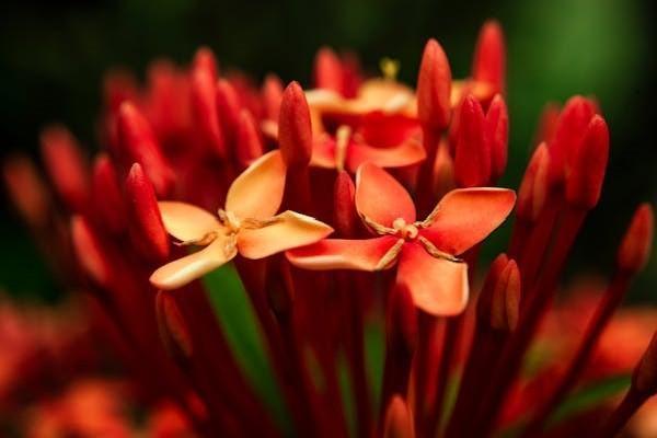 分紅險(xiǎn)退保能拿回多少？退保需注意的問題？