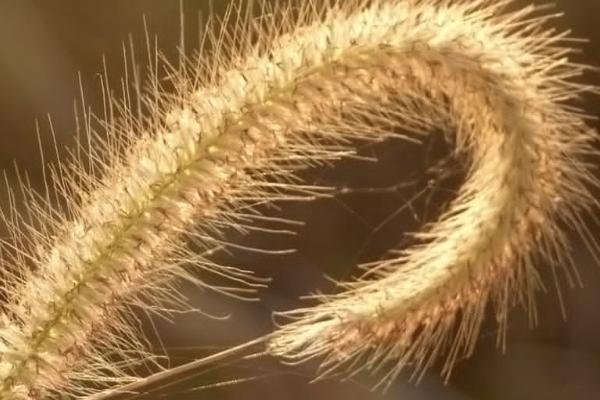 太平退保如何操作？退保要注意什么？