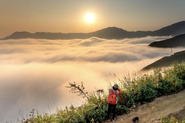 退保分紅的錢會(huì)退嗎？流程是什么？
