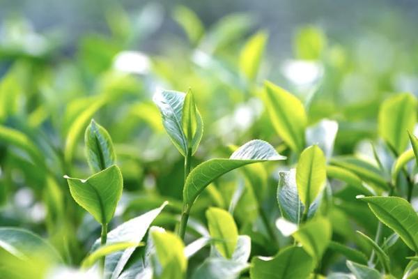 醫(yī)享無憂百萬醫(yī)療險在哪里購買？有哪些亮點？
