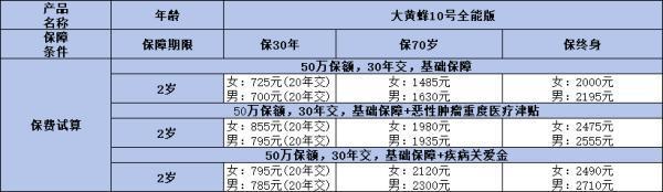 大黃蜂10號(hào)附加險(xiǎn)應(yīng)該怎么選？附加險(xiǎn)攻略，讓你輕松為孩子挑選最佳保障！