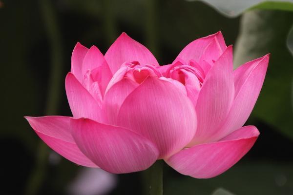 長(zhǎng)城人壽山海關(guān)增額終身壽險(xiǎn)有哪些投保規(guī)則？有什么優(yōu)點(diǎn)？