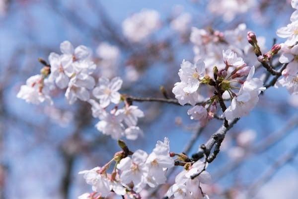 大家慧選養(yǎng)老年金與大富之家榮華版養(yǎng)老年金的區(qū)別，一文詳解！