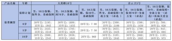大黃蜂10號(hào)和青云衛(wèi)3號(hào)深度對(duì)比：哪款更適合你家寶貝？
