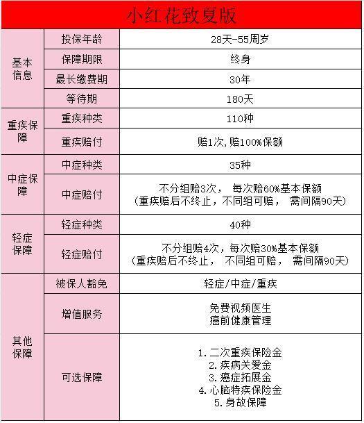 小紅花致夏版重疾險(xiǎn)和君龍龍安心哪個(gè)好？重疾險(xiǎn)該如何選擇？