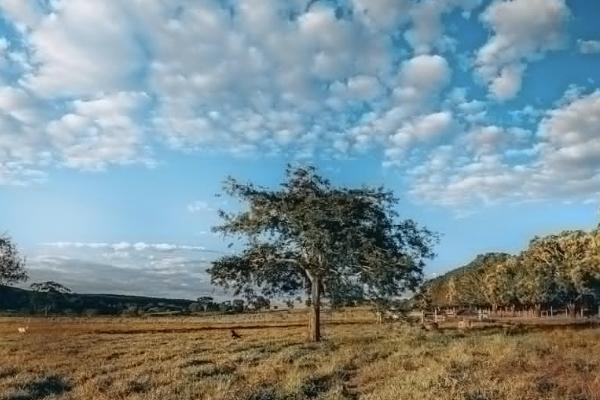 商業(yè)保險(xiǎn)可以退保嗎？退保能拿回多少保費(fèi)？
