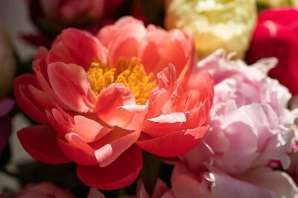 小蜜蜂5號意外險投保區(qū)域有哪些？有哪些優(yōu)點？