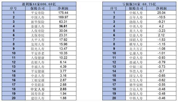 中宏保險公司是一家什么樣的保險公司？全國排名第幾？