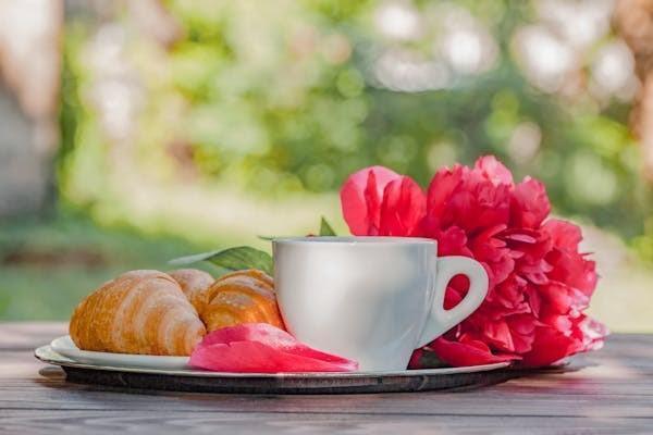 商業(yè)險怎么退保？退保所需材料有哪些？