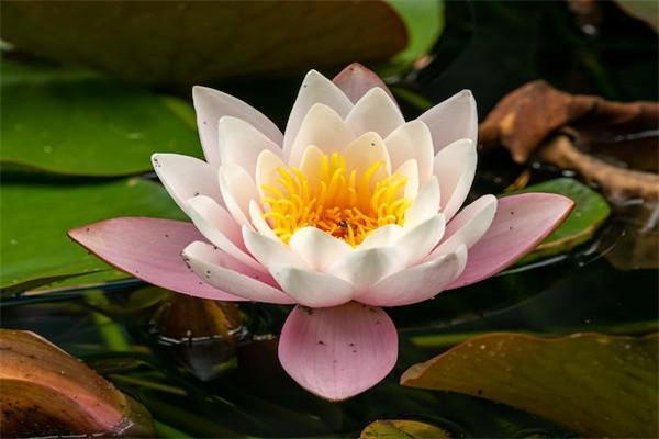 甘肅按60%交15年能領(lǐng)取多少養(yǎng)老金