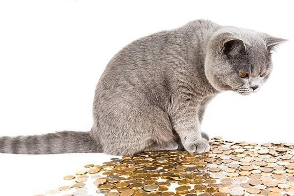 什么情況適合用信用卡分期？減免退費(fèi)是真的嗎？