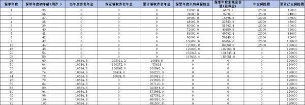 陽光壽C款養(yǎng)老年金險(xiǎn)怎么樣？深度解析，為你揭示這款熱門產(chǎn)品的魅力
