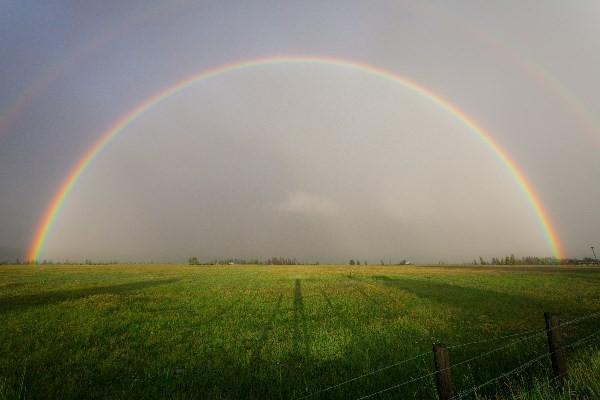 重疾險法院能強制執(zhí)行嗎?重大疾病保險一年多少錢？