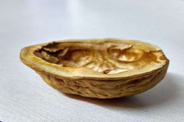 香港保險到期了可以推遲多久交？交費多久審核通過？