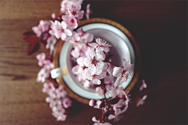 保險(xiǎn)的本質(zhì)是什么？購(gòu)買技巧是什么？