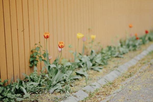 太平洋保險(xiǎn)查詢?cè)敿?xì)保單怎么查？一般多少錢？