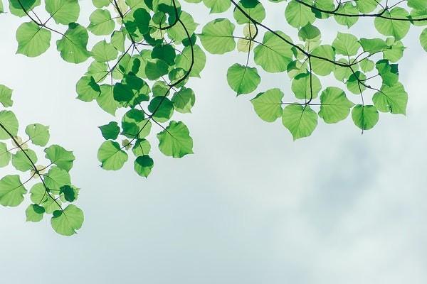 友邦高端醫(yī)療保險價格是多少？可靠嗎？