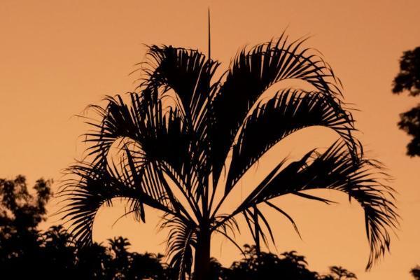 投保人被保險(xiǎn)人受益人之間的關(guān)系是什么？投保人可以更換嗎？