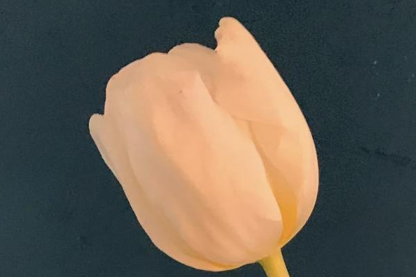其他醫(yī)療保險指什么？商業(yè)醫(yī)療保險怎么買？
