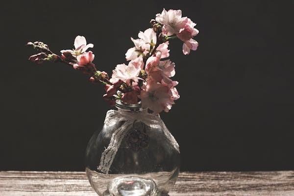 平安保險查詢個人保單查詢怎么查？一年多少錢？