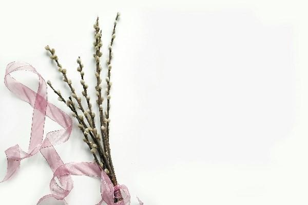 郵政保險(xiǎn)猶豫期退保,扣費(fèi)嗎？退保的具體流程是怎樣的？